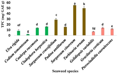 Nutritional Properties, Antioxidant Activity, and Heavy Metal ...