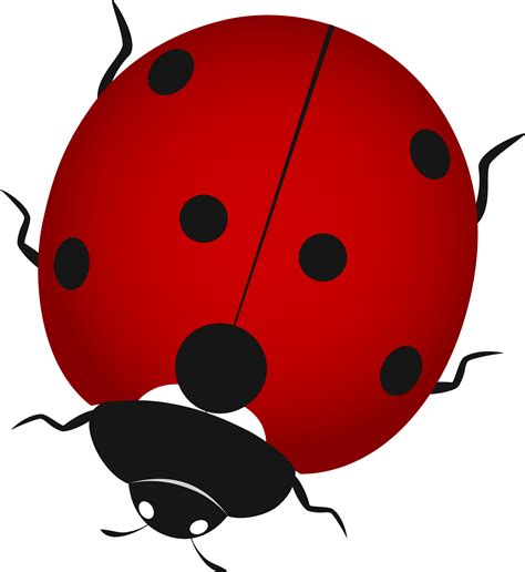Ladybird Insect Clip art - Painted red ladybug png download - 1801*1961 ...
