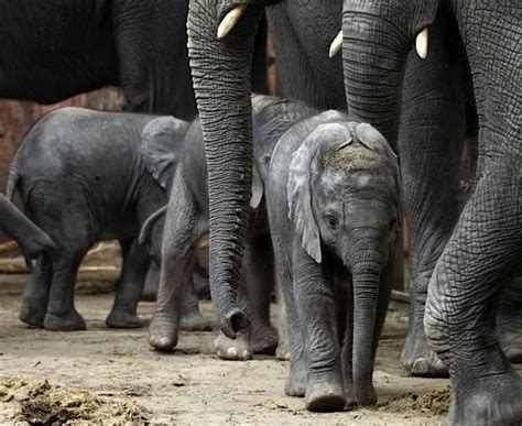 No Bad Parts: How Internal Family Systems (IFS) Therapy can help you ...