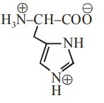 The correct structure of histidine in a strongly acidic solution (pH=2) is
