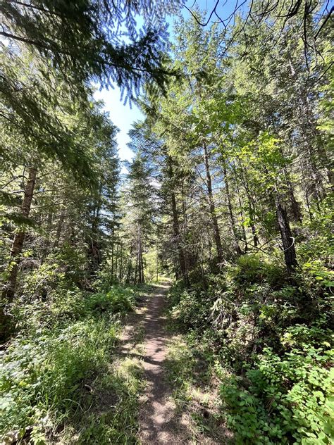 Sun Mountain Trails — Washington Trails Association