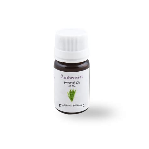 Field Horsetail Essential Oil – Ambrosial - Fragrances of Heaven