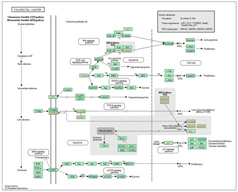 Bottom-Up Approach to the Discovery of Clinically Relevant Biomarker ...