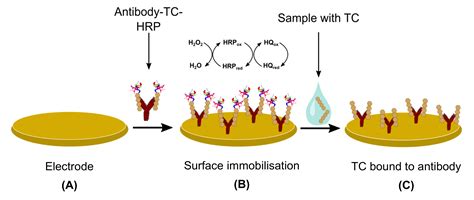 Emerging Electrochemical Sensors for Real-Time Detection of ...