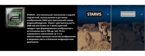 Как выбрать лучшие камеры наблюдения: живое видео с подробным описанием