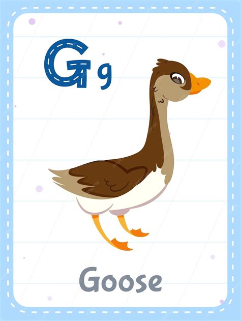 Free Vector | Alphabet printable flashcard with letter g and goose animal