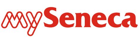 Computer Programming and Analysis 的图像结果