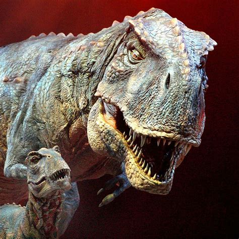 [100+] Real Dinosaur Pictures | Wallpapers.com