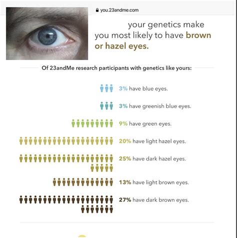 Eye Color Genetics 的图像结果