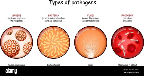 Pathogens 的图像结果