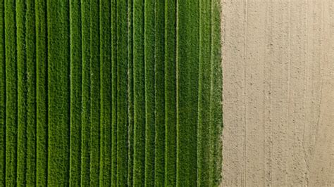 Taoism vs. Confucianism: Key Differences Over Time | Explore the ...