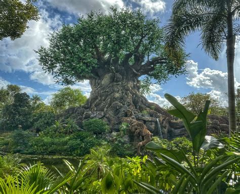 Disney's Animal Kingdom Guide - Key To The World Travel