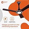 Buy Orient Electric 1200 mm I Float| BLDC ceiling fan | BEE 5-star ...