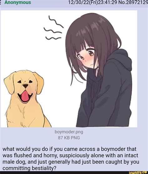 Anonymous 29 No.28972129 boymoder.png 87 KB PNG what would you do if ...