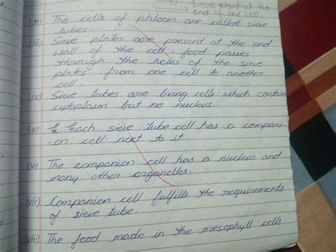 DESCRIBE THE STRUCTURE OF PHLOEM TISSUE?? - Brainly.in