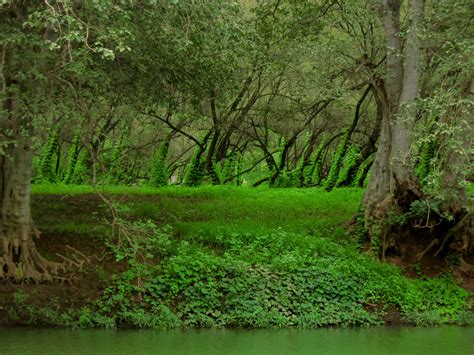 Image result for Set Background Color in Java GUI
