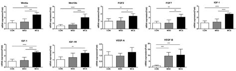Micro-Current Stimulation Has Potential Effects of Hair Growth ...