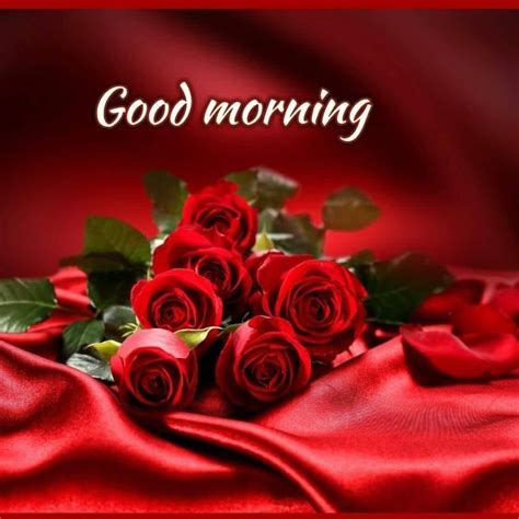 Good Morning Love Red Roses