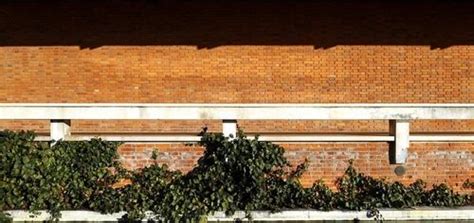 Parapet Wall Designs for Your Home in 2024