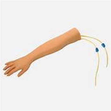 Image result for IV Training Arm Model