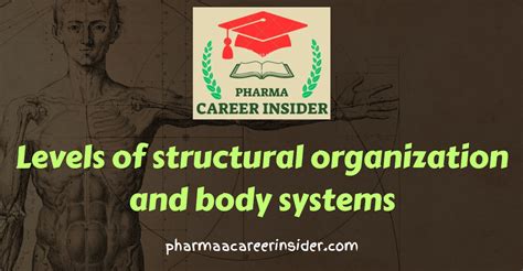 Example of System Structure 的图像结果