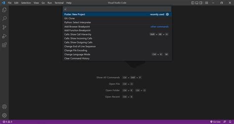 How to Create New Flutter Project in vs Code 的图像结果