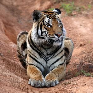 South Africa’s Tiger Canyon in pictures