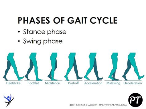 Gait Cycle - Phases & Analysis - Dr Rohit Bhaskar | PPT