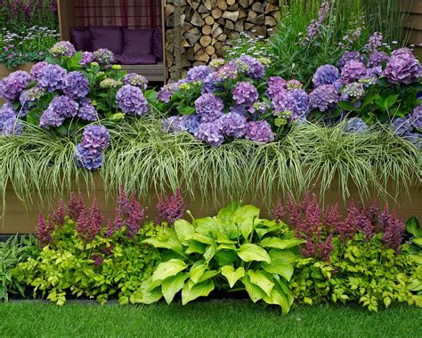 Hydrangea Companion Plants