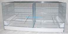 gabbie per allevamento canarini gabbia 90 cm domus molinari gabbie allevamento gabbie per allevamento canarini gabbia 90 cm domus molinari gabbie allevamento