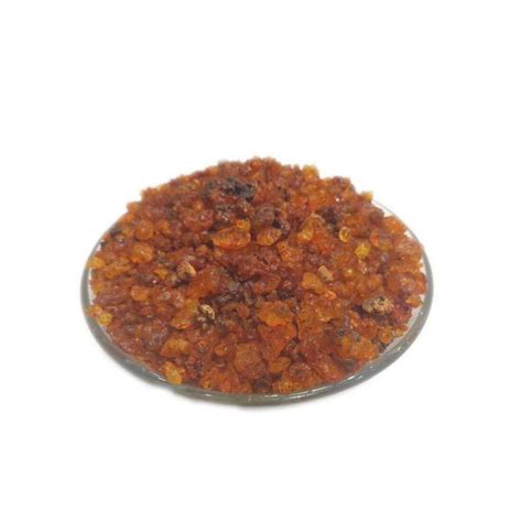 YUVIKA Lakh Dana - Lac Dana - Coccus Lacca - Laccifer Lacca - GudHealthy