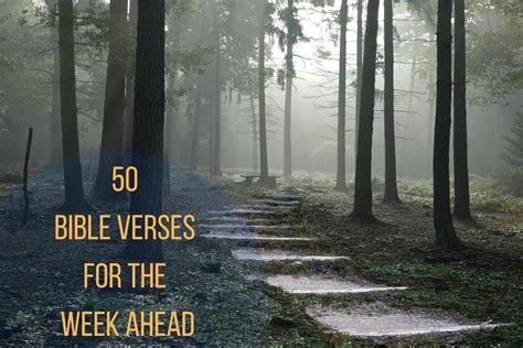 Image result for Spirit of Python Bible