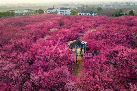 2023枝江三加一快捷酒店_旅游攻略_门票_地址_游记点评,枝江三加一快捷酒店旅游景点、酒店、购物、美食推荐 - 去哪儿攻略社区