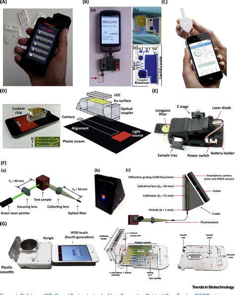Image result for Point of Care Testing Governance Flowchart