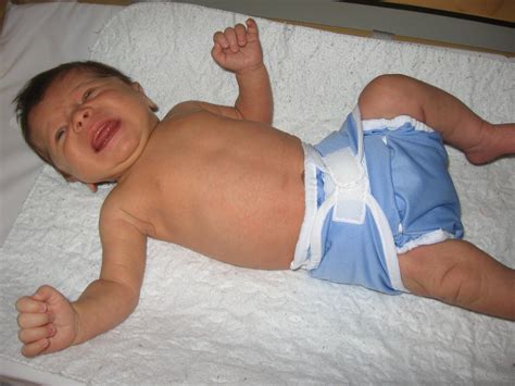 Image result for iPhone Auto Click Set Up