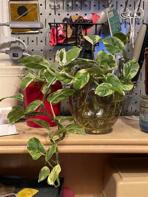 Image result for FS19 Farming Tips