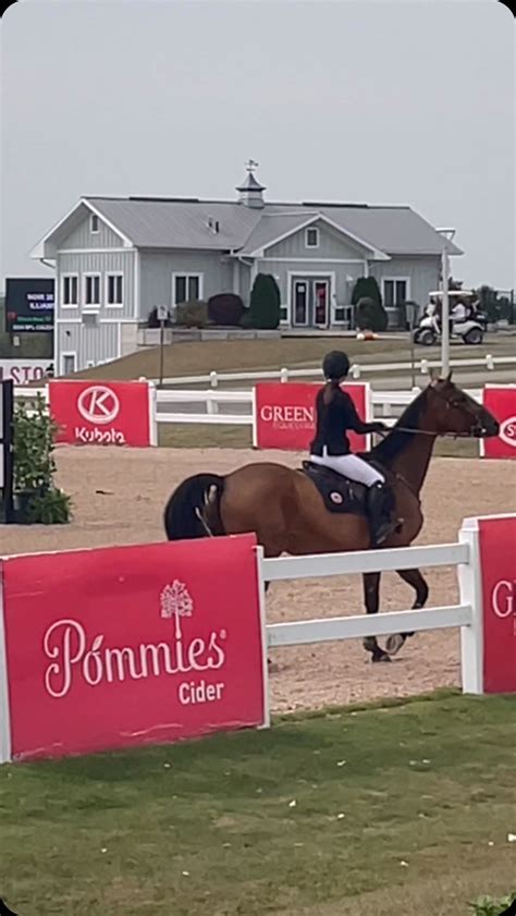 Sierra Cabots Horses (@sierracabot_equine) • Instagram photos and videos