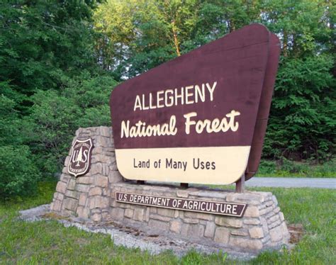 Debate Over Roadless Rule Raises Questions About Conservation, Logging ...