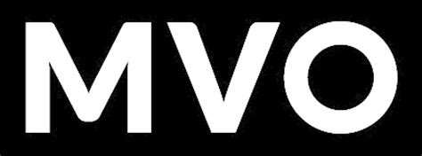 Image result for MVO Explainer Video