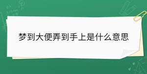 梦到了扫掉床上自已的大便是什么意思_周公解梦官网