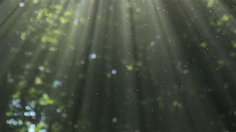 Background Loop 的图像结果