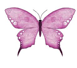 Chrysaellect | Pre-school education consultants | Pre-school curriculum ...