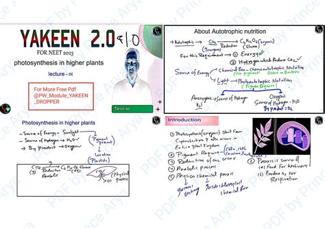 14. Revision Notes on Sexual Reproduction in Flowering Plants for NEET ...