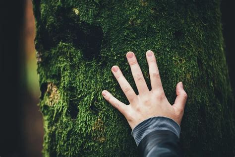 Corporate Social Responsibility (CSR) | Capgemini India