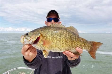 How to Fish for Bass in Texas: The Complete Guide (Updated 2023)