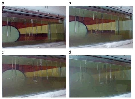 Jet Fuel Contamination: Forms, Impact, Control, and Prevention