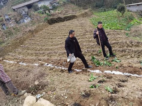 陕北400余农民私分争议土地 自称打土豪分田地|农民分土地_新浪新闻