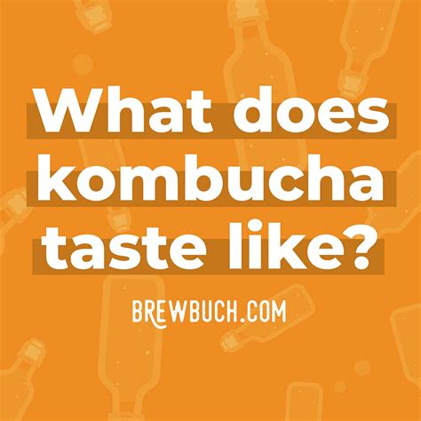What Does Kombucha Taste Like? Detailed Guide To Kombucha Flavor!