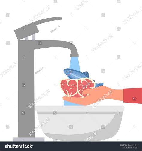 Wash Meat: Over 3,482 Royalty-Free Licensable Stock Vectors & Vector Art | Shutterstock