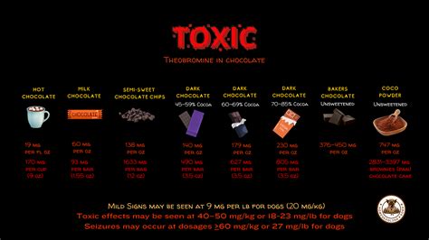 Chocolate Toxicosis — Homeskooling 4 Dogs